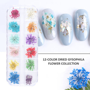 UnicornSpree™️ 12-Color Dried Gysophila Flower Collection